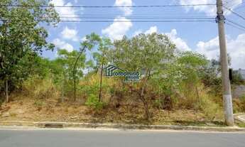 Imagem 7: Venda Residential / Land Lot Lagoa Santa MG