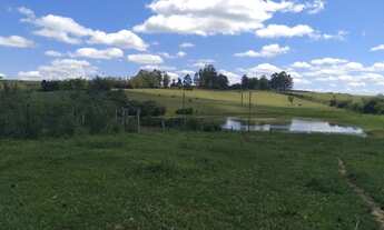 Imagem 4: Campo 125ha para Pecuária em Capivari RS