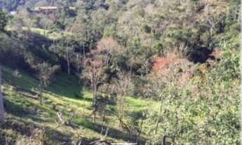 Imagem 7: Exclusividade na serra