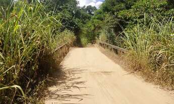 Imagem 10: Fazenda Fazendinha 19 Hectares, 16 Hectares. FLORESTA MG