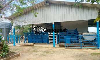 Imagem: Fazenda/Sítio/Chácara para venda possui