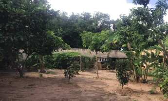 Imagem 4: Belíssima chácara com 4 Quartos sendo 1 Suíte à venda no Morada Nova, com 1000m² por R$ 43