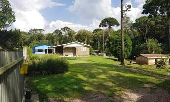 Imagem: Chácara para Venda em São José dos Pinhais