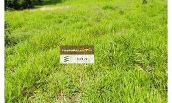 Imagem 4: Fazenda Premium ! 210 Alqueires - Região de Piranhas - GO ! Oportunidade !