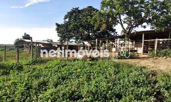 Imagem 6: Venda Fazenda Fazenda Abaeté