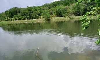 Imagem 7: Sítio no KM 26 da AM 010, bom para viveiro de peixe