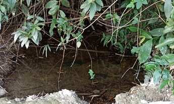 Imagem 5: Terreno em Bonfim/MG 2.5 Hectares ótimo cantinho na roça com agua corrente