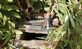 Imagem 3: Lote/Terreno para venda em Paraisópolis - MG