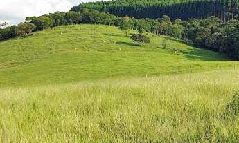 Imagem 7: NÃO PERCA TEMPO VENHA APROVEITAR ESSA GRANDE OPORTUNIDADE, TERRENOS COM VISTA ESPETÁCULAR