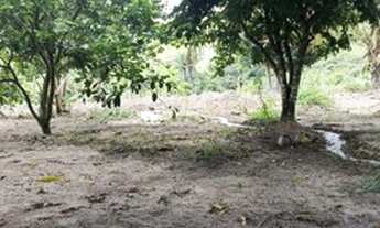 Imagem: Sítio em Joaquim Gomes