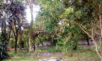 Imagem 5: CHACARA 2400M² CONTAGEM TOTALMETE MURADA