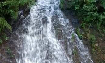 Imagem 4: Sítio / Chácara para Venda em Linha Nova, Linha Nova