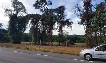 Imagem 2: Rodovia Am 070 - Manoel Urbano