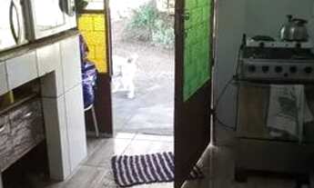 Imagem 2: Casa com terreno grande