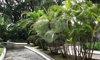 Imagem 4: São Paulo - Apartamento Padrão - SANTO AMARO