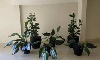 Imagem 6: Apartamento QT SALA todo mobiliado para LOCAÇÃO 2 vagas perto do Shopping Independencia