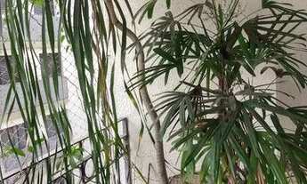 Imagem 6: Apartamento Venda 2 Dormitórios - 80 m² Vila Olímpia