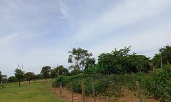 Imagem 7: Chacara no Várzea Alegre - Terenos/MS - 12 hectares, escriturada - aceito imóvel e veículo