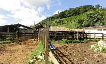 Imagem 2: Fazenda maravilhosa no sul do Espírito Santo