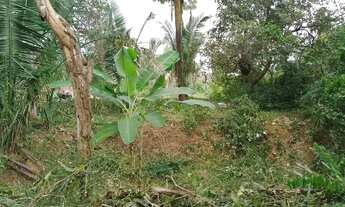 Imagem 3: Vendo um terreno valor R$25