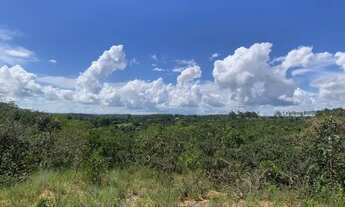 Imagem 6: Chácara 1000m², R$35mil, Energia, Arborizada, 600m Rod, 4km Aragoiânia