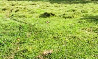 Imagem 2: VC- VENDO TERRENO PARA LAZER E TRANQUILIDADE !!!!!