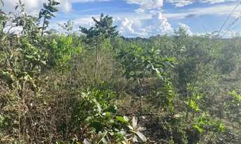 Imagem 3: Terrenos de 5mil m2