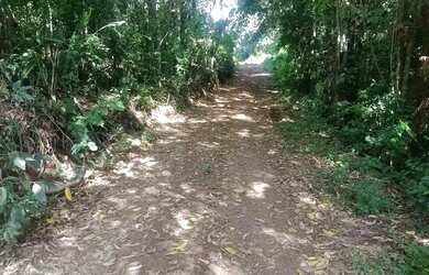 Imagem 5: Área de terras em Bom Principio