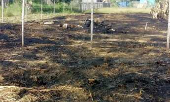 Imagem: Vende-se terreno em Rorianopolis / 12.00m×30.00m