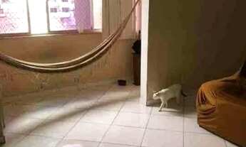 Imagem 3: Campo Belo Apartamento com 4 dormitórios