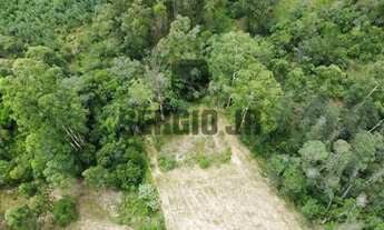 Imagem 6: Área de terra com 1,3h em Triunfo