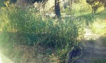 Imagem 7: Casa para aluguel com 150 metros quadrados com 3 quartos