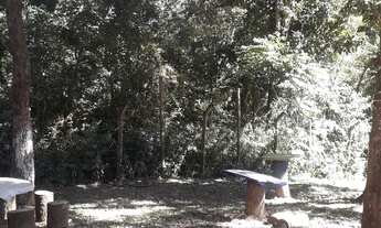 Imagem 2: Vende-se uma chácara