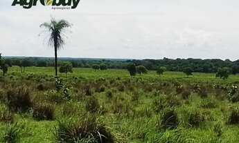 Imagem 3: Fazenda em Tocantins