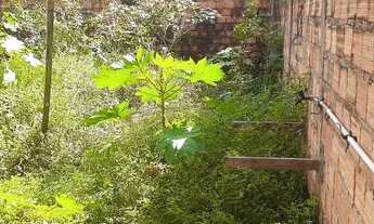 Imagem 6: Vendo uma casa no pontal da ilha