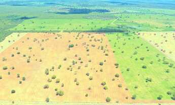 Imagem 2: Fazenda para Soja irrigada a venda em Posse - GO
