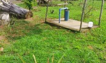 Imagem 6: Vendo sítio Timon Campo Grande