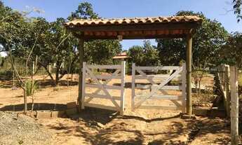 Imagem 6: Sitio 1500 m², casa, cisterna, plano, terra fértil, arvores frutíferas, fogão a lenha, Jab