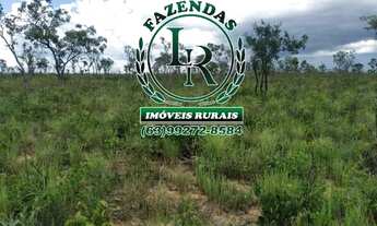 Imagem 3: Fazenda 317 alqueires Plana