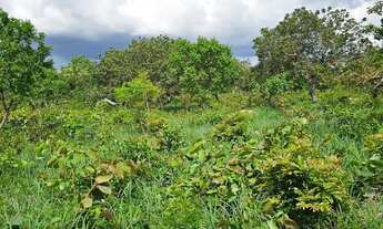Imagem 6: Terreno de 2,75 ha, a 18 km da cidade de Caetité-BA o