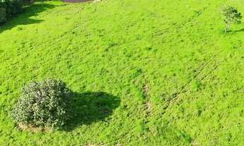 Imagem 2: Fazenda 5 alqueires com 2 águas e pasto formado - 13 km de Formoso-GO - Escuto propostas