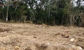 Imagem 5: Terreno amplo de 1.000m² à venda na divisa de São Roque