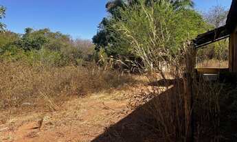 Imagem 5: Fazenda arrendamento 700hec pra abrir em aliança do Tocantins TO