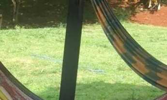 Imagem 7: Alugo Chácara em Londrina para festas e eventos