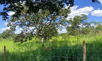 Imagem 4: Fazendinha 2 ha, plano, 100% formado em baquearia, todo terra de cultivo,Jaboticatubas