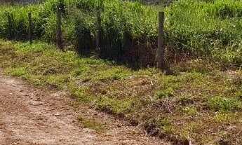 Imagem 6: Vendo gleba 2hectares região da comunidade Palmeira com córrego e terra de cultura
