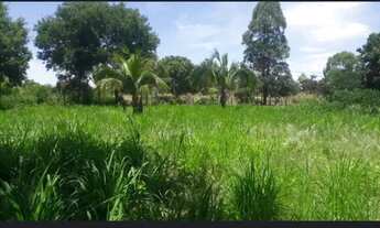 Imagem 7: Imóvel para venda possui 1470000 metros quadrados em Zona Rural - Flores de Goiás - GO