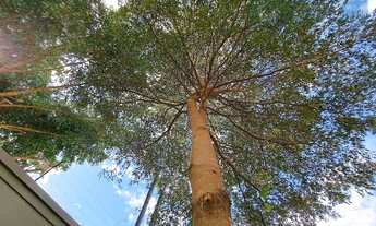 Imagem 5: FANTÁSTICO CASA NUM LOTE 480 M² - 4 QUARTOS E 5 VGS - SANTA MÔNICA-BH