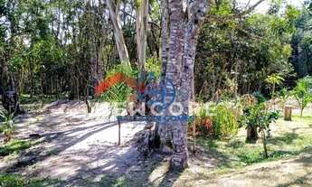 Imagem 5: Chácara em Rua - Castelano - Biritiba Mirim/SP