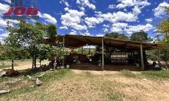 Imagem 3: Vendo linda e excelente Fazenda!